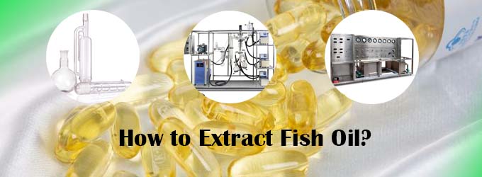 Short Path Molecular Distillation Machine Extracted Fish Oil