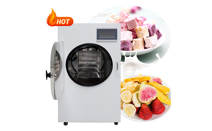 Food Freeze Dryer for Home Use-1