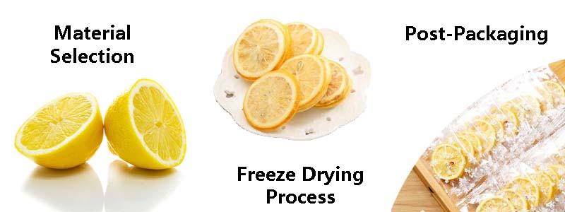Freeze Dryer Processing Lemon Slices