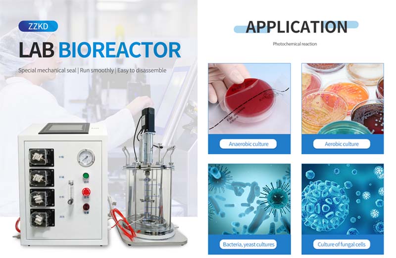 Classification of laboratory biological fermenters