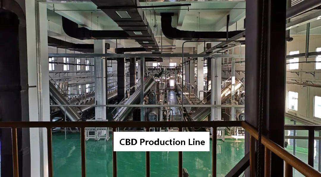 American CBD production line3