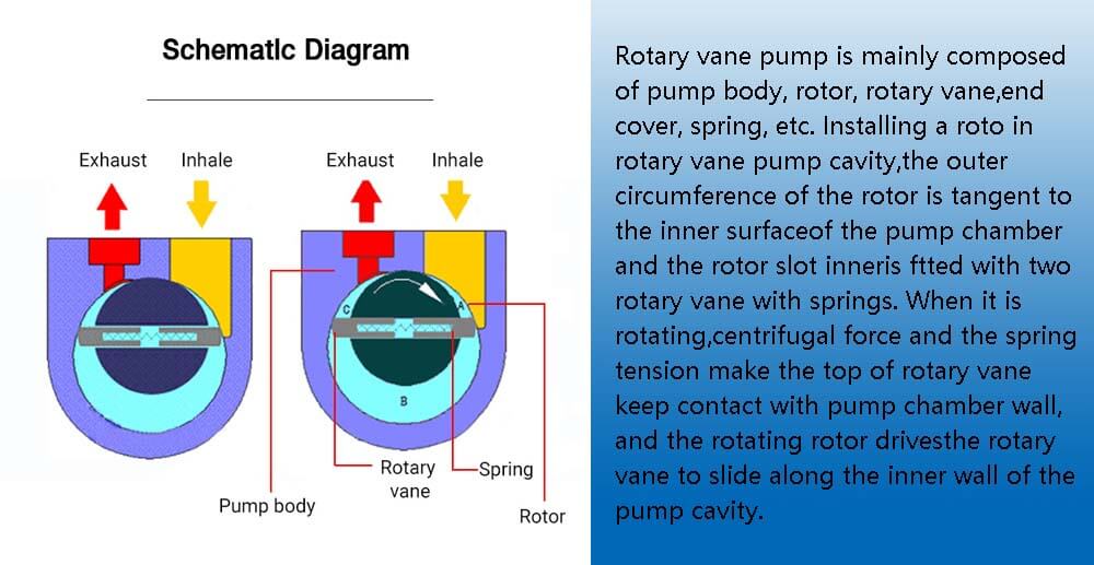Rotary Vane Vacuum Pump Structure
