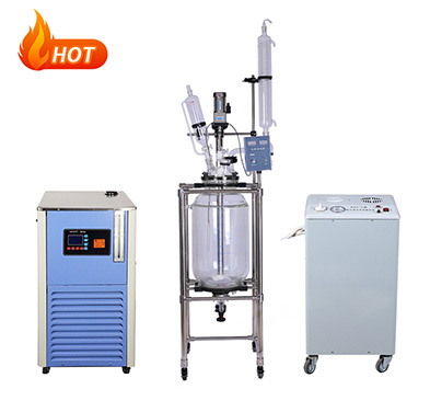 Jacketed Glass Filter Reactor