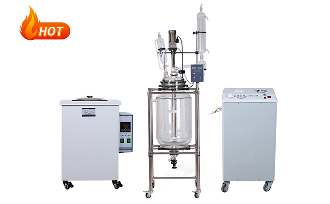 Jacketed Glass Filter Reactor-1