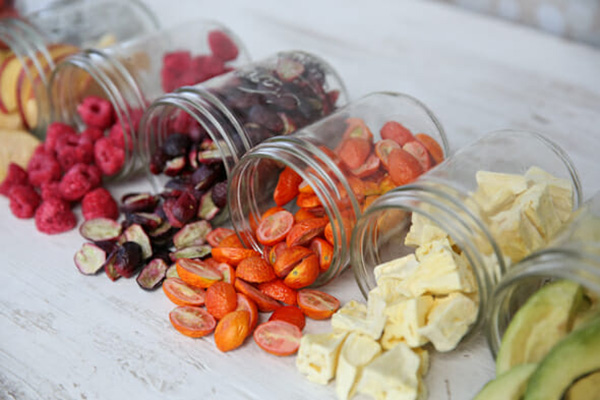 small freeze dryer benefits