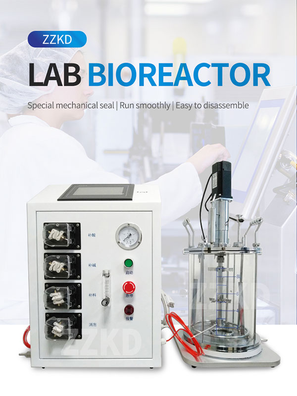 glass bench top bioreactor