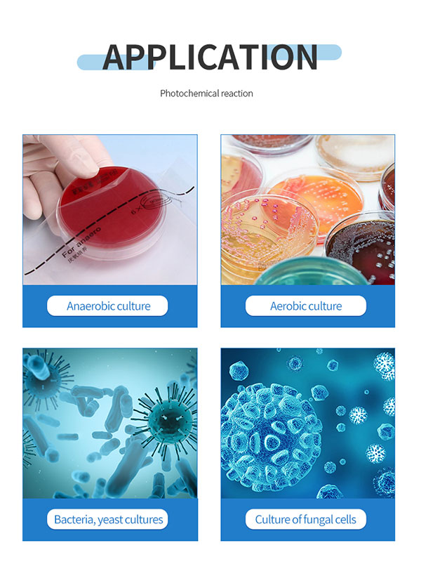 lab scale benchtop bioreactor price